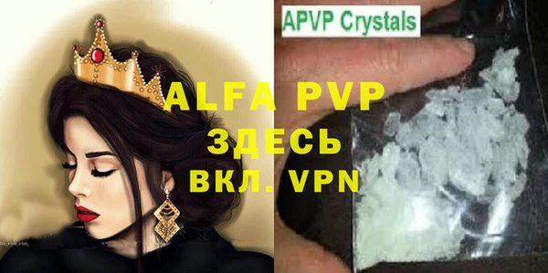 стафф Алзамай