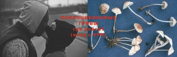 кокс Алексеевка
