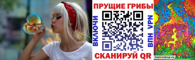 Галлюциногенные грибы прущие грибы  MEGA вход  Пласт 